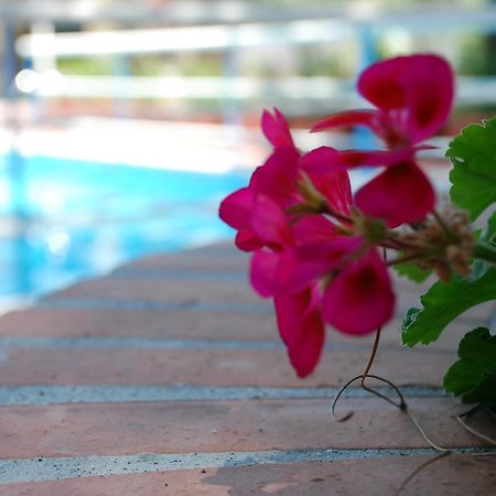 Hotel La Villa 미스터비안코 외부 사진